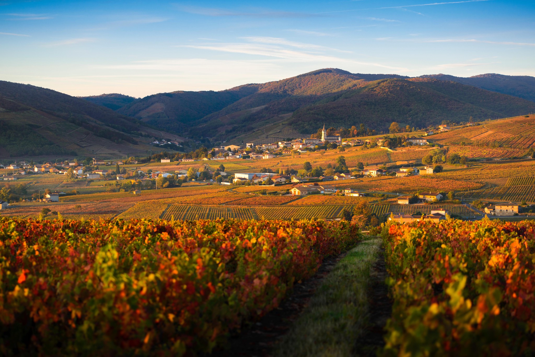 Vignobles du Beaujolais et collines verdoyantes
